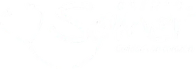 Somer Logo